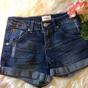 Distressed Hudson Denim Shorts